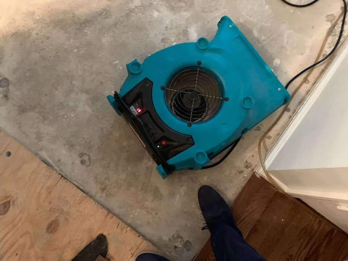 Air mover drying subfloor during Leak Detection & Repair in Lacey