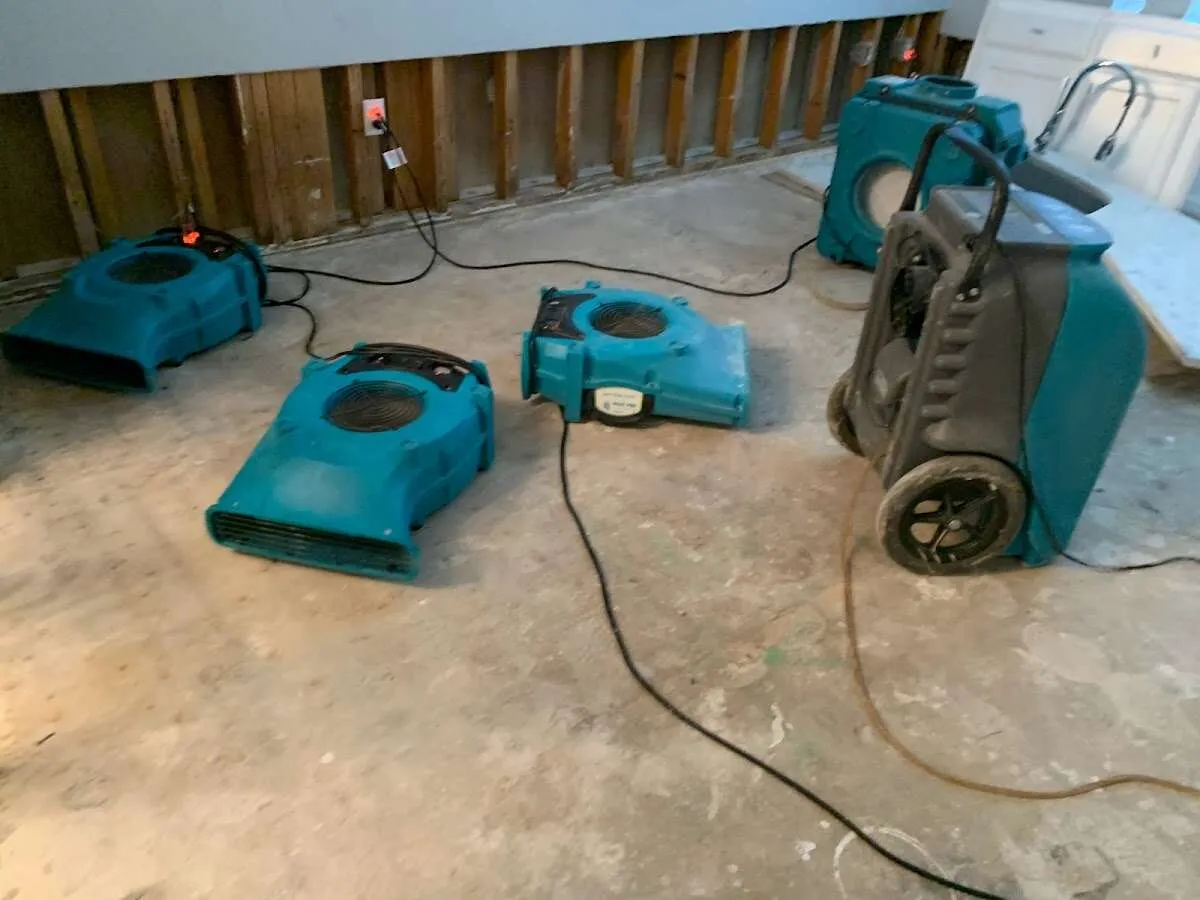 Water Damage Restoration services in Lacey, WA